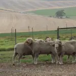 Er termoundertøj velegnet til alle årstider, eller kun til vinterbrug?